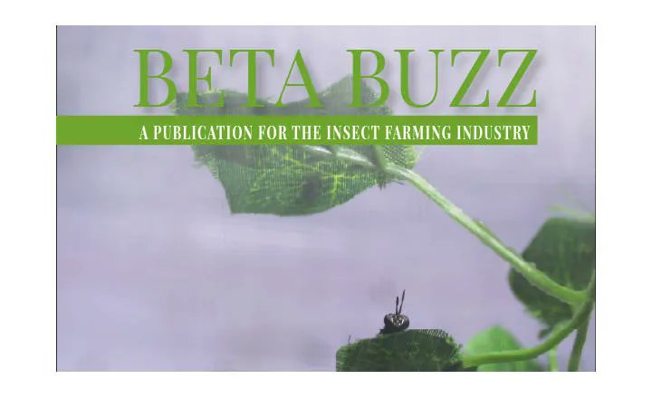 betabugsltd's tweet photo. Throwback to another article featuring Beta Buzz #2 from New Protein 🙌✔
Read the full article here;
https://t.co/ltBBfhCDxF
#newprotein #bsf #betabuzz #throwbackthursday https://t.co/2xiMFPZIGa