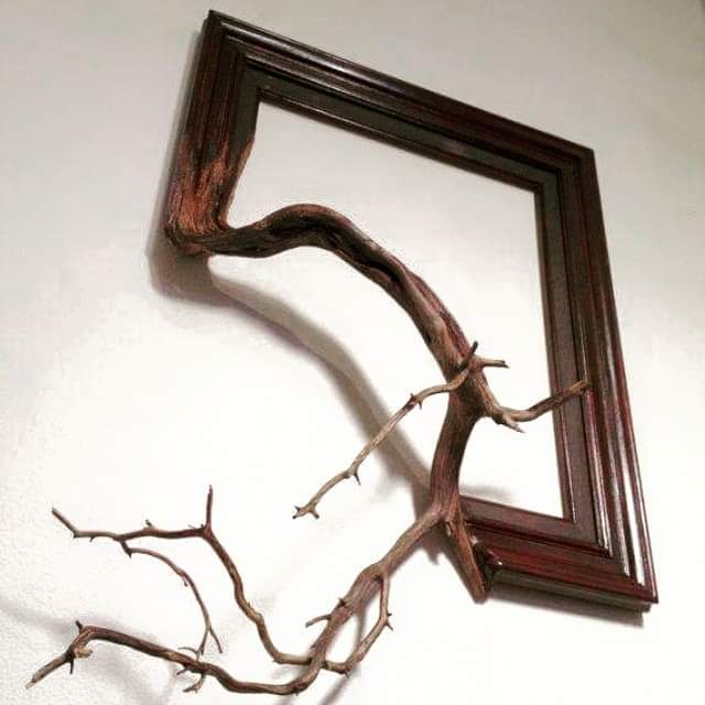 dollarsandart's tweet image. Tough at the top...
#dogslife #charged #branchout