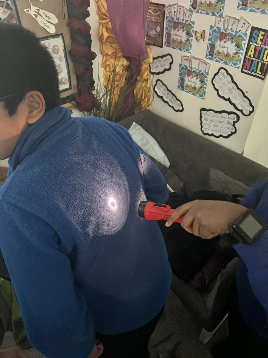 Elm - Foxfield tweet media