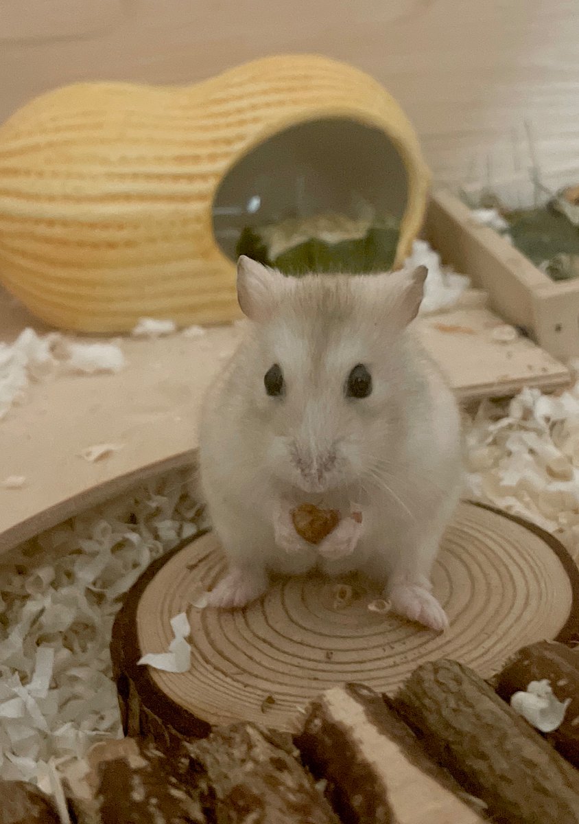 여기 풀썩 자리 잡은게 넘 웃기여워