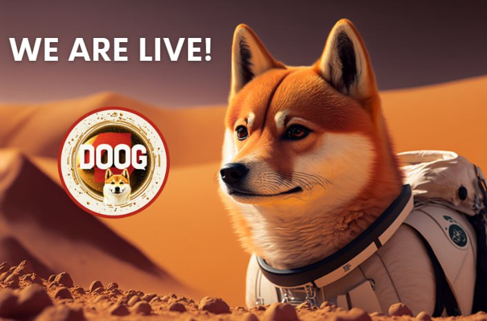 Doogtoken's tweet photo. $DOOG is live!

Contract:0xAd90e7Ad355fB1e19Df909b21B9117b0f56cB222
https://t.co/OxPYZ9mSCa
Tax: 5 / 7
Maxwallet: 3%
$Loop $Doog @LoopNetwork3 https://t.co/fcMhsjcciC