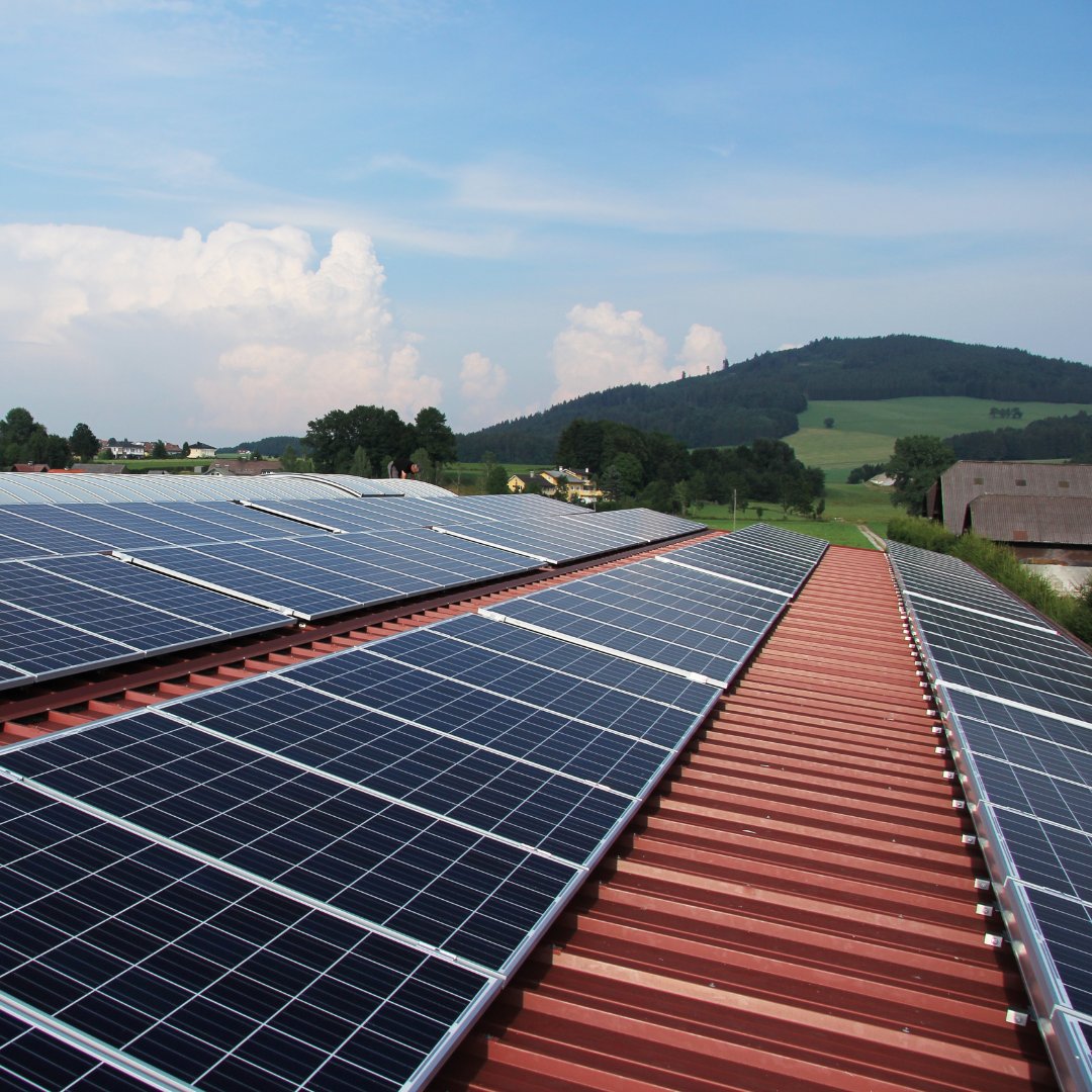 Golan Heights Winery is committed to sustainability and following LODI RULES. The Winery has established solar power system that will produce 50% of its electricity needs and shade the roofs to reduce the energy needed for building temperature control.