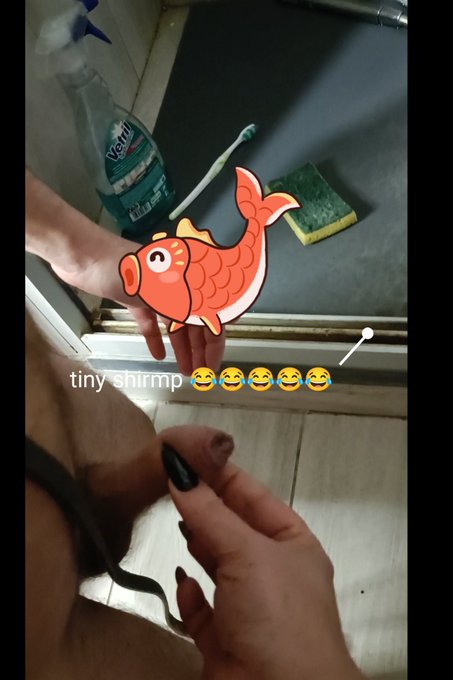 #brutalvideo #bbwcurvy #cruel #mistress new video soon 👑😚 https://t.co/vjC8NY7HuE<a href="/tag/brutalvideo"class="tags">#brutalvideo</a><a href="/tag/bbwcurvy"class="tags">#bbwcurvy</a><a href="/tag/cruel"class="tags">#cruel</a><a href="/tag/mistress"class="tags">#mistress</a>