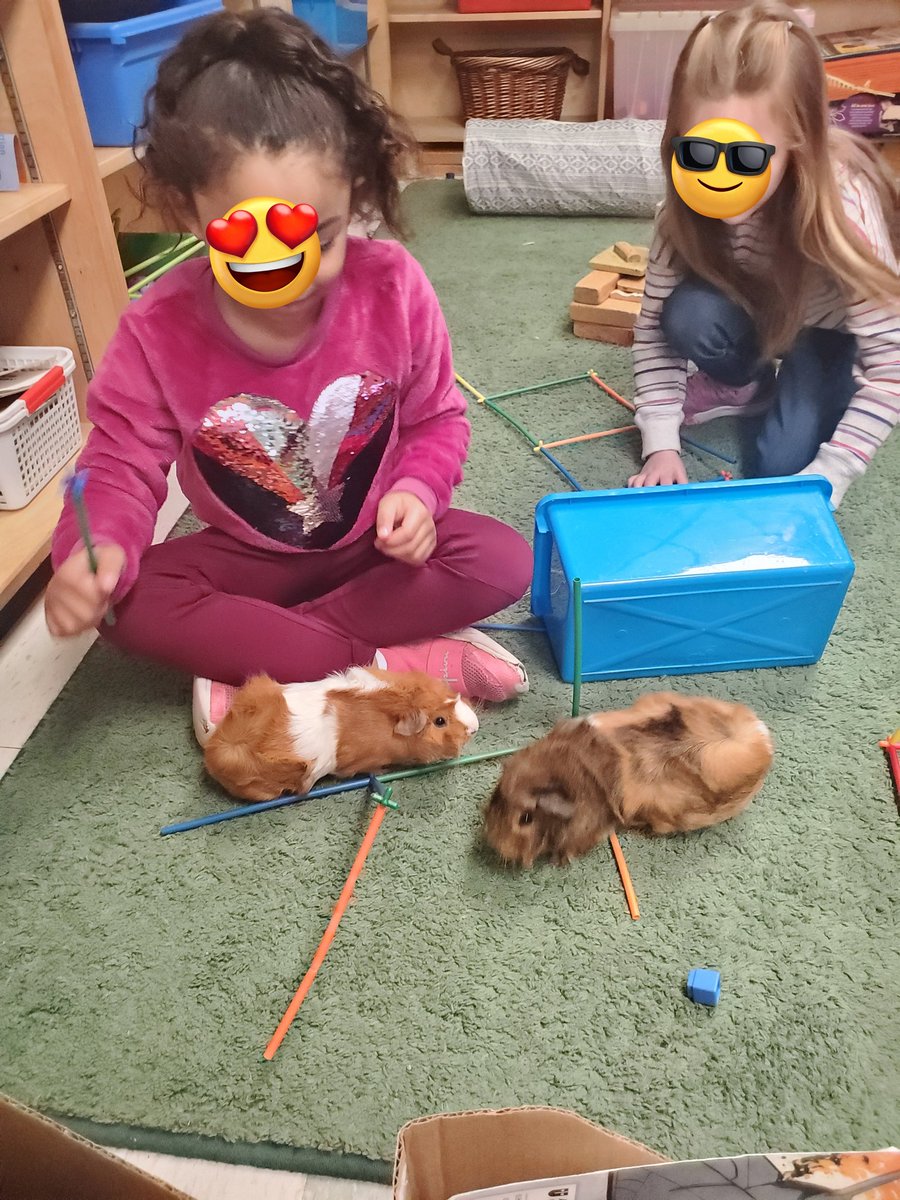 MsPenuela's tweet photo. @StBrigidOCSB we take  #deeplearning  to a whole new level during our grade 1 building centre. Fries and Gravy enjoyed their little city  @ms_downes @OCSBelementary https://t.co/tEFB3XSPhj