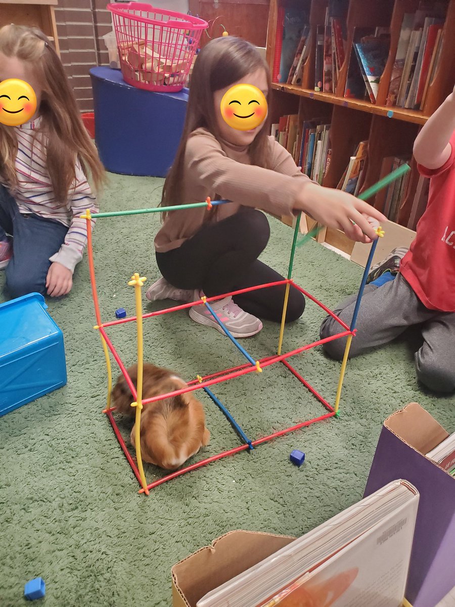 MsPenuela's tweet photo. @StBrigidOCSB we take  #deeplearning  to a whole new level during our grade 1 building centre. Fries and Gravy enjoyed their little city  @ms_downes @OCSBelementary https://t.co/tEFB3XSPhj
