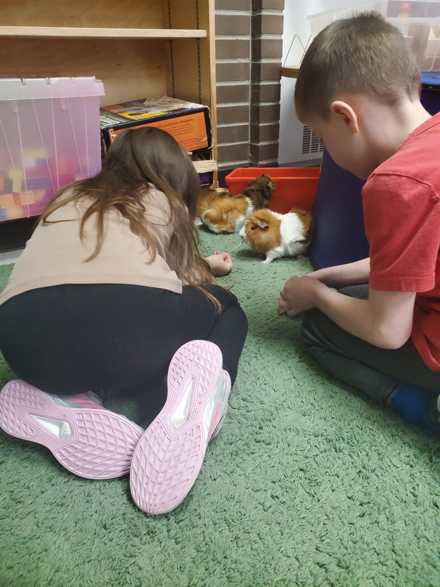 MsPenuela's tweet photo. @StBrigidOCSB we take  #deeplearning  to a whole new level during our grade 1 building centre. Fries and Gravy enjoyed their little city  @ms_downes @OCSBelementary https://t.co/tEFB3XSPhj