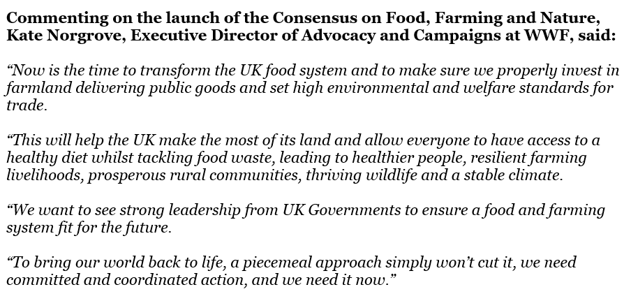 WWF Politics 🌍 tweet media