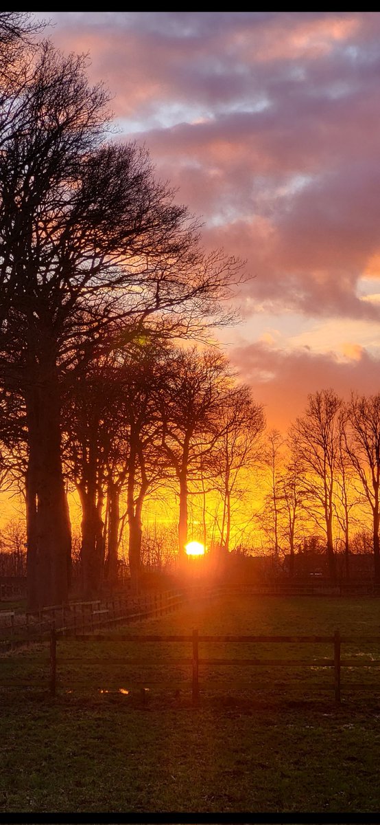 RZwartjens's tweet photo. Zonsondergang 16.50 uur #Raalte https://t.co/TcROXxTjSm