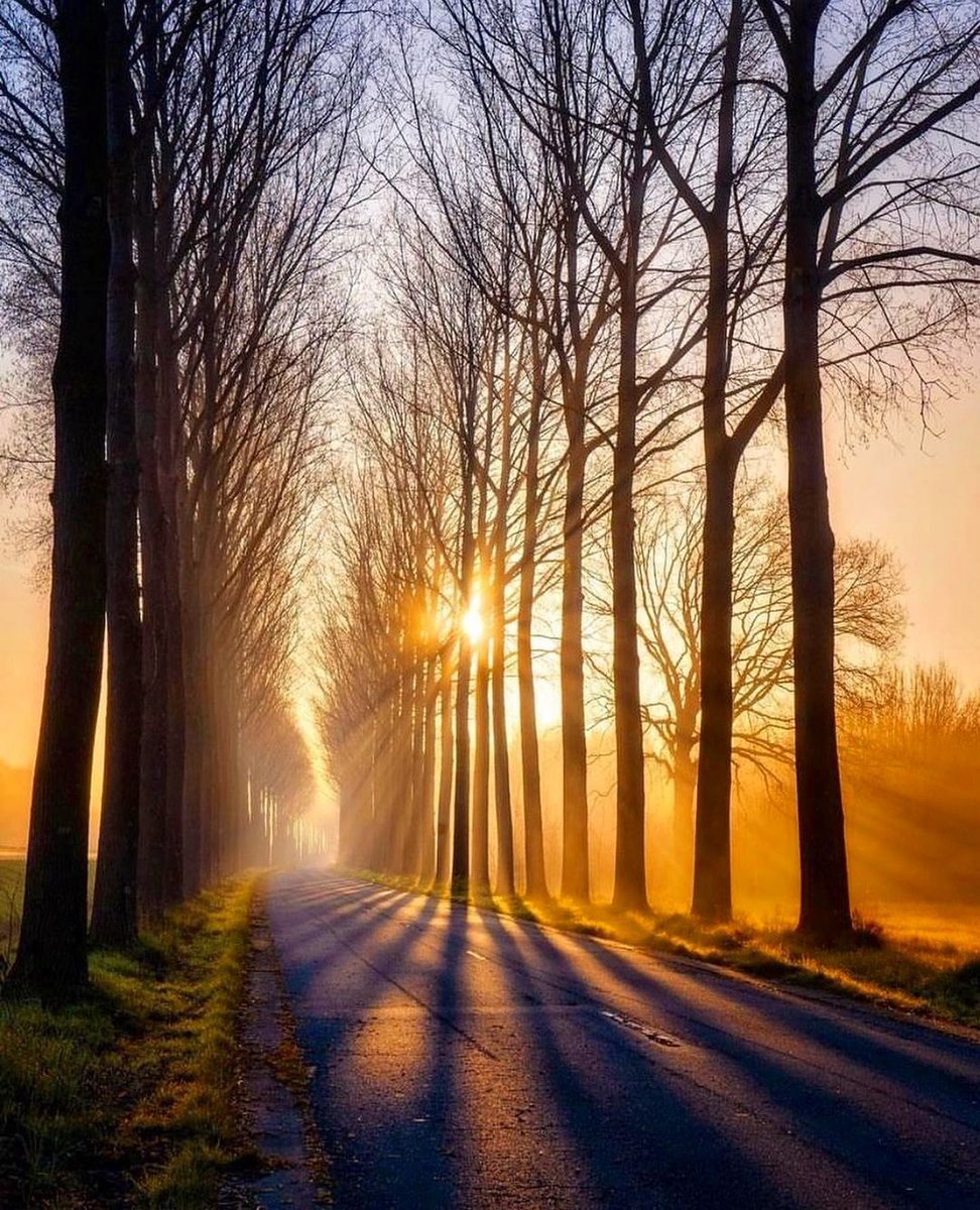 jacolek1981's tweet photo. Good Evening  🧡🧡 https://t.co/onDTsMuAwH