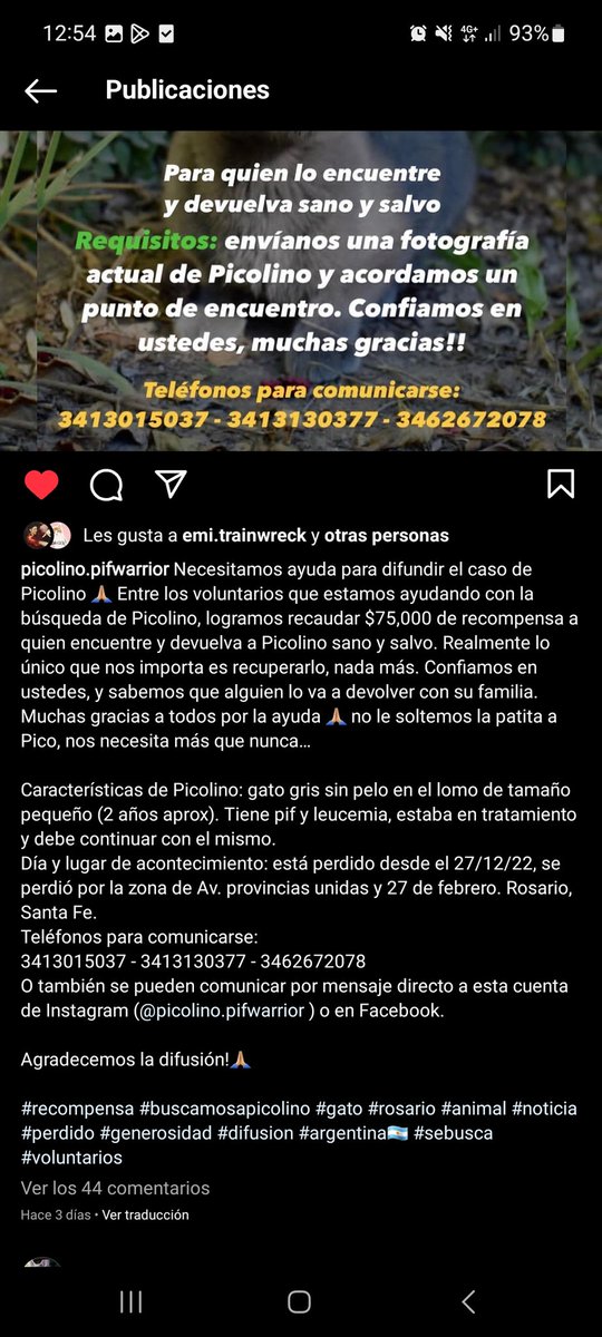 kitn_26's tweet photo. En Rosario hace ya casi 3 semanas robaron un bolso que en realidad era una transportadora con Picolino, quien estaba en tratamiento. HACE SEMANAS QUE SU DUEÑA PIDE QUE LES MUESTREN LAS CAMARAS PARA AYUDAR A ENCONTRARLO Y SE HACEN LOS BOLUDOS. ALGUIEN TIENE QUE SABER ALGO SOBRE EL https://t.co/mOBATo2xQw