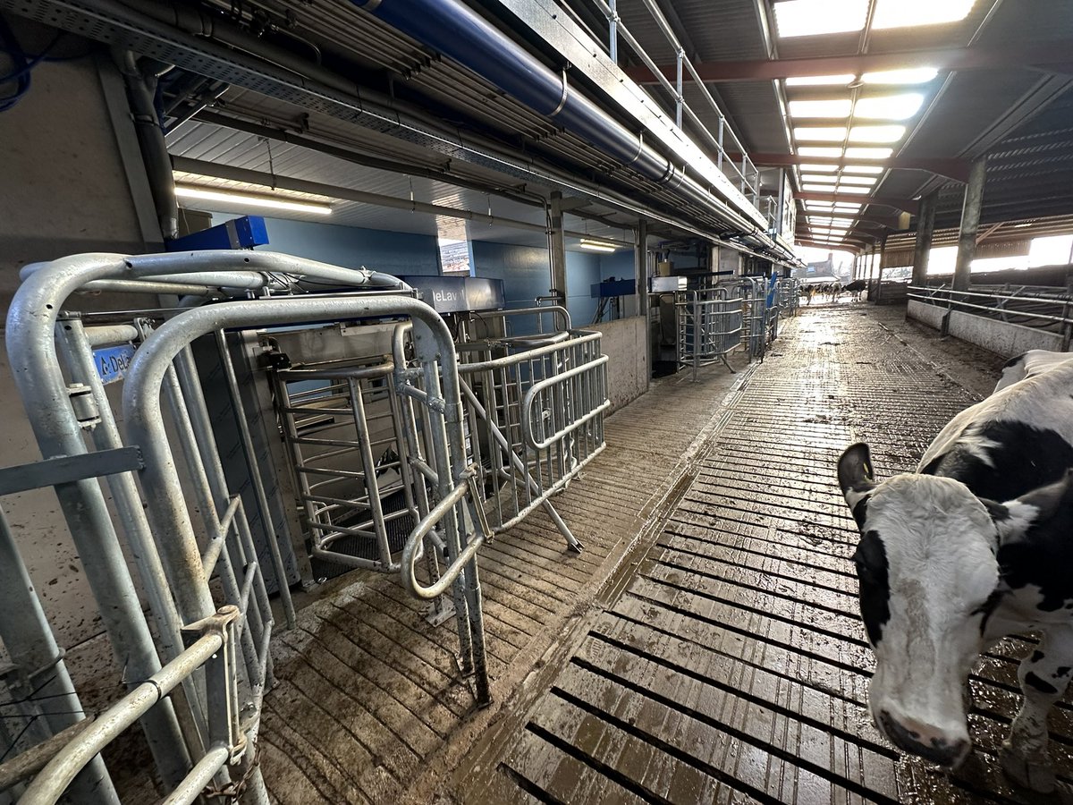 6 x DeLaval VMS robots up and running. Very successful start up 😀😀