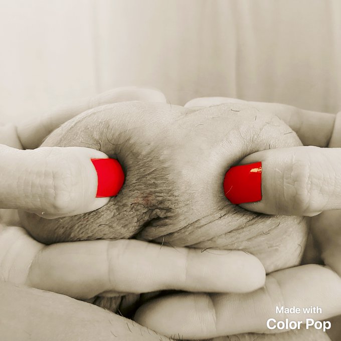 #perfectBalls #Queen #QueenNicolle https://t.co/Fr3Ponlj66<a href="/tag/perfectballs"class="tags">#perfectBalls</a><a href="/tag/queen"class="tags">#Queen</a><a href="/tag/queennicolle"class="tags">#QueenNicolle</a>