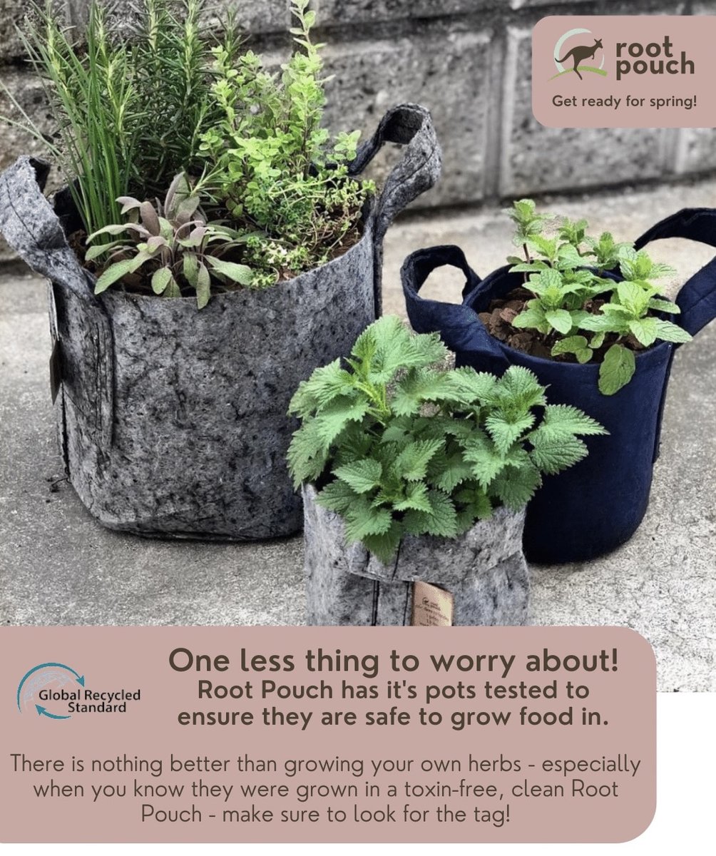 RootPouch's tweet image. Root Pouches are made with 100% non-toxic, tested safe materials to make sure you can feel good about what you grow and what you eat. 

#homegardening #garden