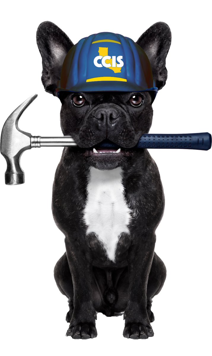 California Contractors Insurance Services tweet media