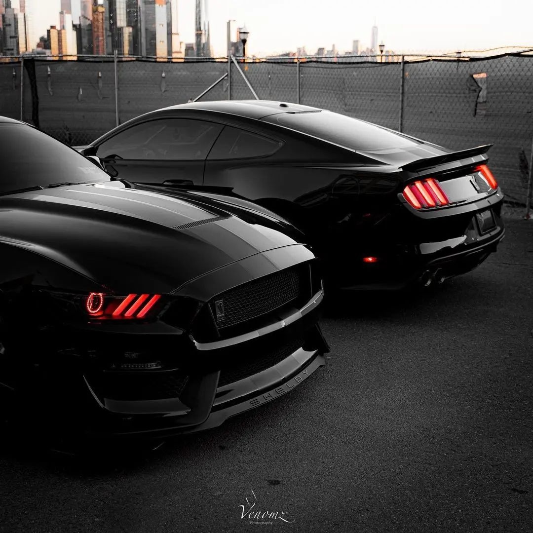 ChinoHillsFord's tweet image. It really is love, at first sight, 😍❤ Refuel what makes your soul sing this weekend. #FordMustang #FordModels 
.
📸: ford.mustang_shelby_gt_500