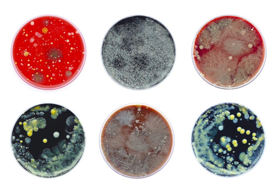 #ICYMI World Organization for Animal Health is "Working Together to Fight Antimicrobial Resistance" by supporting AMR surveillance training in the One Health framework.  Take a look! #onehealth ow.ly/X0nr50MsAlF 
ow.ly/e71O50MsAlH