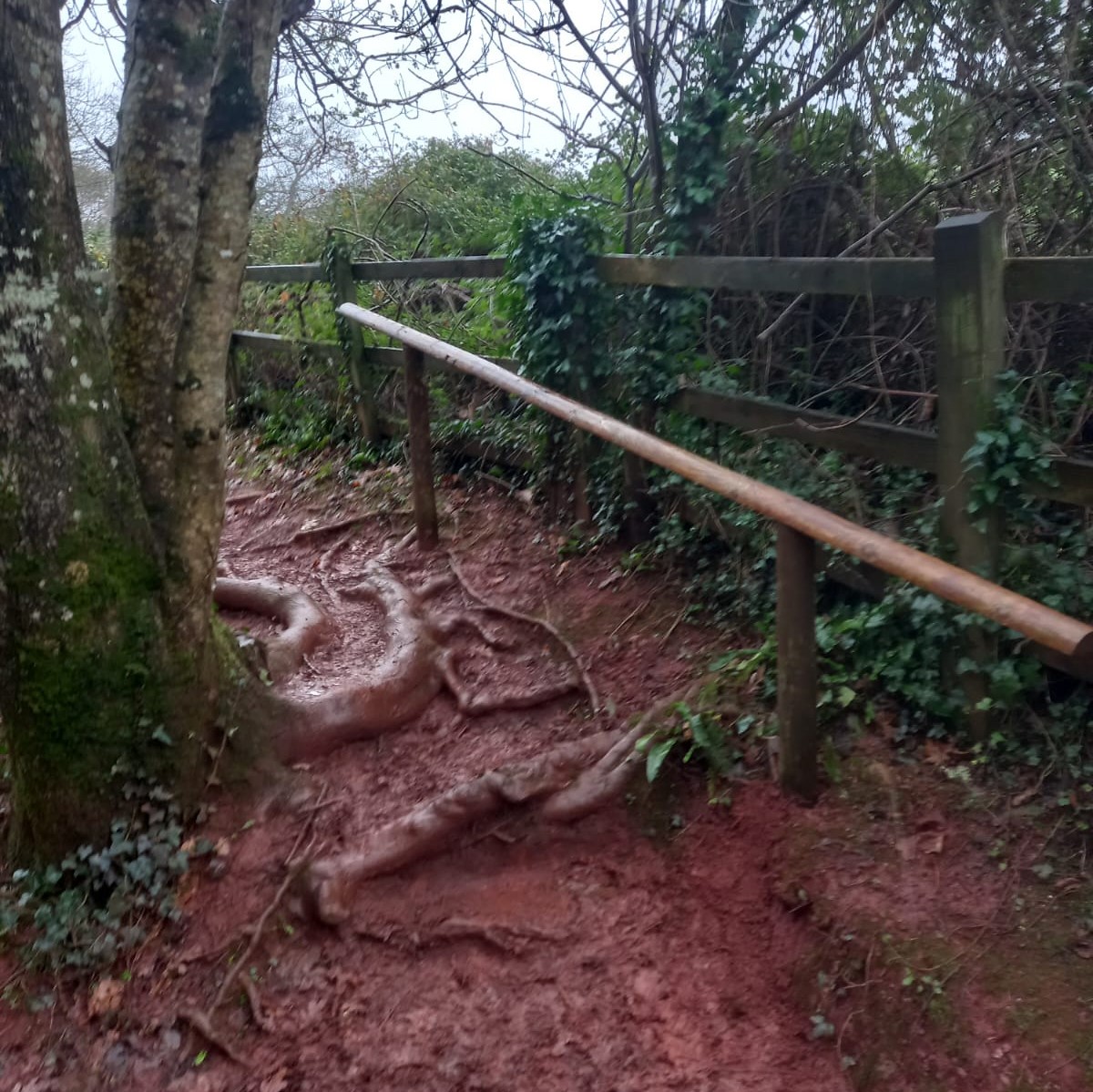 CockingtonPark's tweet photo. A new hand rail has been installed by the ranger team, along this tricky section of footpath in Cockington. 

#footpathmaintenance #countrysiderangers #cockington https://t.co/z4FdlgE14L