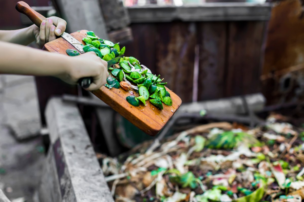 Better Earth tweet media