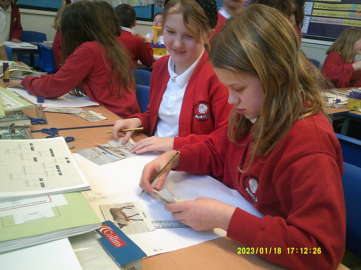 PickeringJunior's tweet photo. Y6 have been classifying living things in their new topic Frozen Kingdoms.  Here they are both following a classification key and creating one of their own #PCJS #Y6 #WELOVESCIENCE #Arcticanimals https://t.co/HWQy4vVbXh