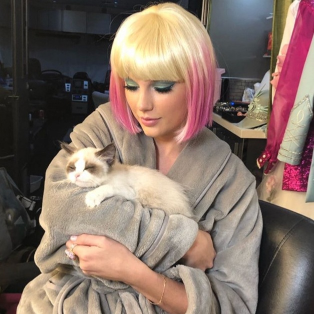 TheSwiftSociety's tweet photo. ❤️| @TaylorSwift13 recently made a "significant donation" to Williamson County Animal Center! https://t.co/U1KEXAPUHA