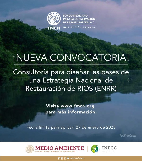 inecc_gob_mx's tweet photo. 📢#Convocatoria | El #INECC y el
@FondoMexicano te invitan a participar en la #Convocatoria para diseñar las bases de una Estrategia Nacional de Restauración de RÍOS #ENRR, en el marco del proyecto #RÍOS.
🗓️Fecha límite: 27 de enero
📋Más información en: https://t.co/qfiiaTCQKD https://t.co/uNBqGjXgpb