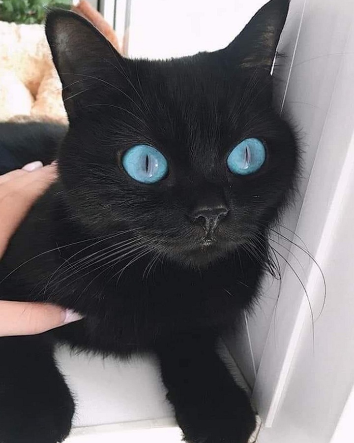 this is ocean eyes