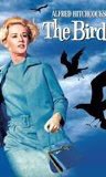   Happy Bday Tippi  Nathalie Kay Tippi Hedren Jan. 19th 1930 93 yrs young today!      