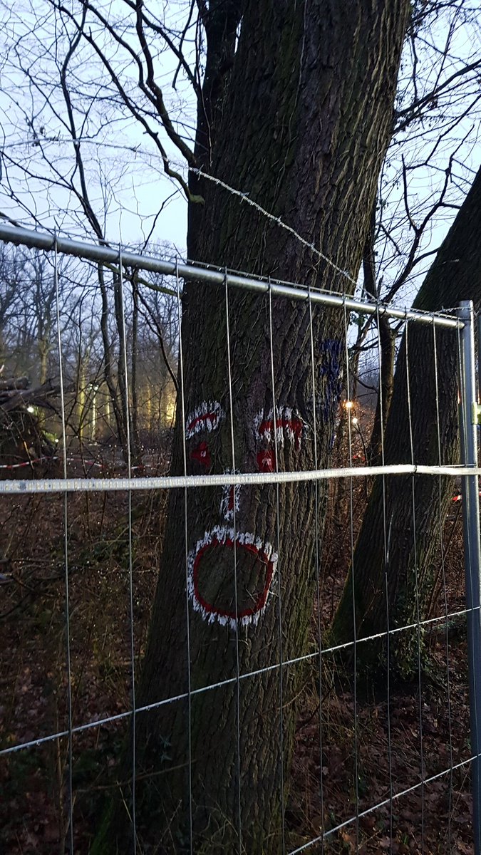 Einfach unglaublich, was im  #Fecherbleibt passiert... #waldstattasphalt #Klimakatastrophe #ClimateEmergency #ClimateJustice