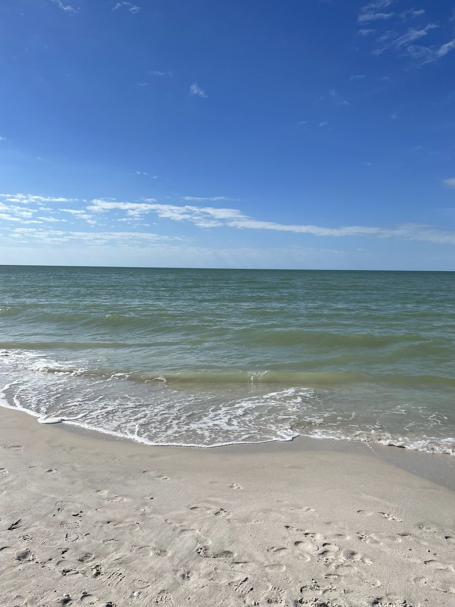 biddy258's tweet photo. Got a chance to put my toes in the Gulf of Mexico today. https://t.co/FXuGTa5zuv