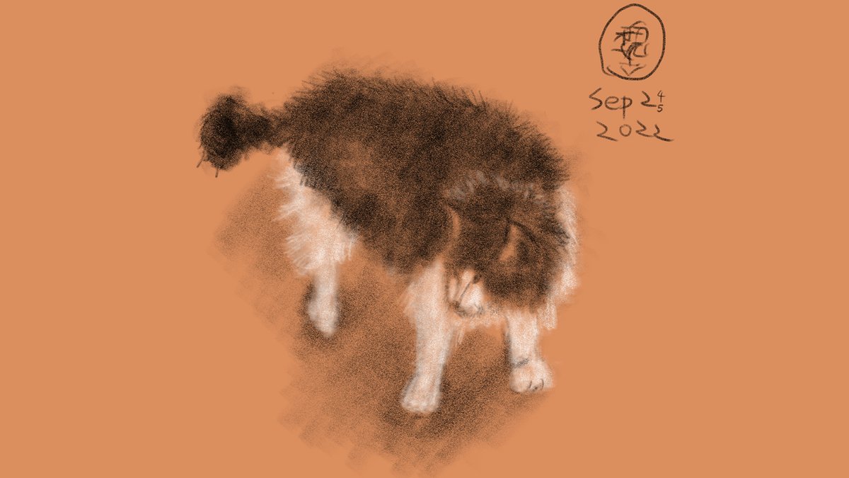 Adobe Research tweet media