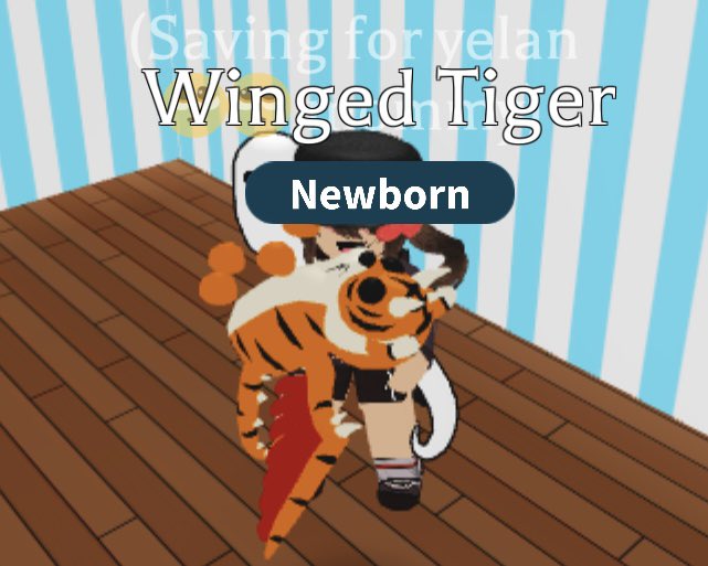 Winged Tiger giveaway 🐅
Just do these simple steps to enter:
Like ❤️
Retweet 🕯️
Comment ✅ (optional)
Turn notifs on 💘 (optional)
That’s all!
Gl everyone 🤗
And happy lunar new year 🧧🎉