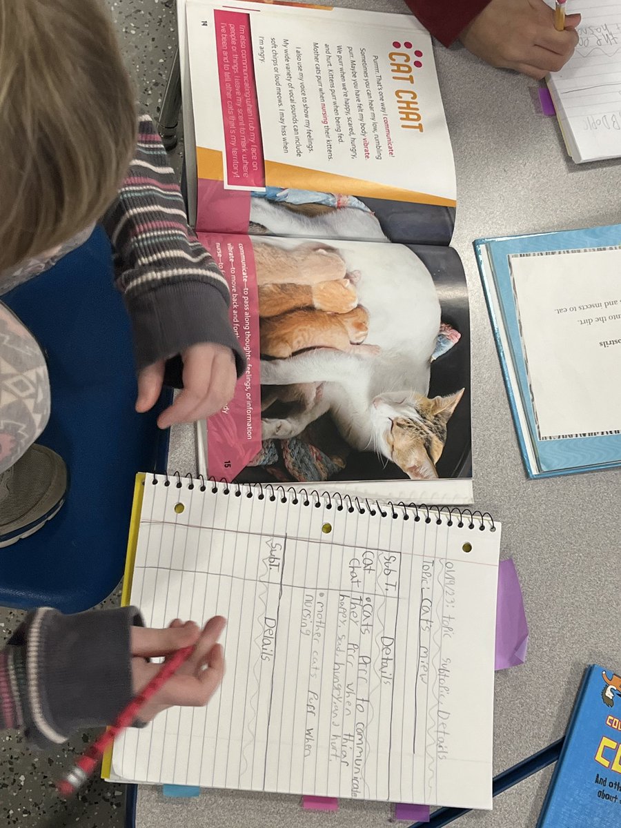 steph_in_second's tweet photo. 🌟 Using a #ReadersNotebook 📓regularly helps students stay organized and builds consistency in the reading classroom. (Here ss track topics/subtopics/details in their NF text)

🌟bonus: links to #cooperativelearning easily! Have ss share with face partner when done! 🎉 https://t.co/U9mhrUPr0k