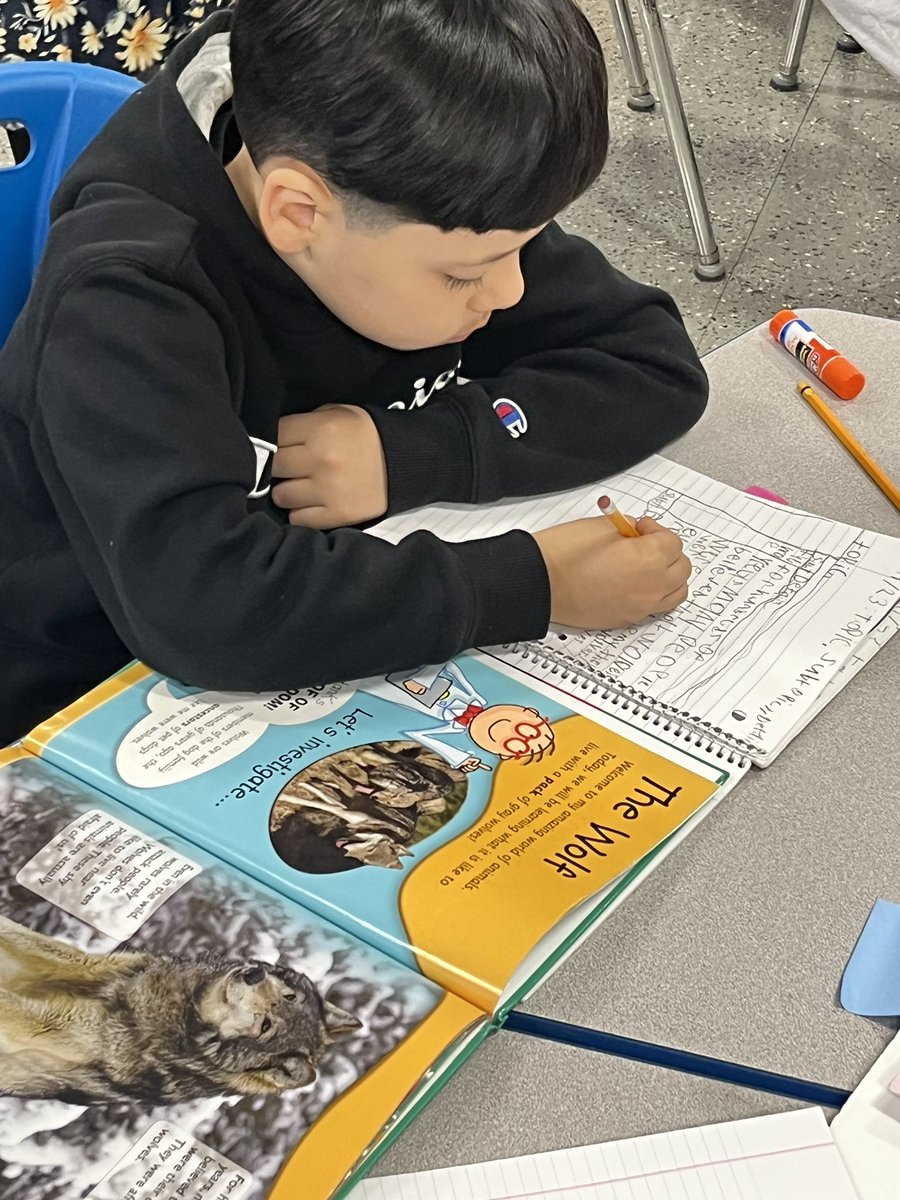 steph_in_second's tweet photo. 🌟 Using a #ReadersNotebook 📓regularly helps students stay organized and builds consistency in the reading classroom. (Here ss track topics/subtopics/details in their NF text)

🌟bonus: links to #cooperativelearning easily! Have ss share with face partner when done! 🎉 https://t.co/U9mhrUPr0k