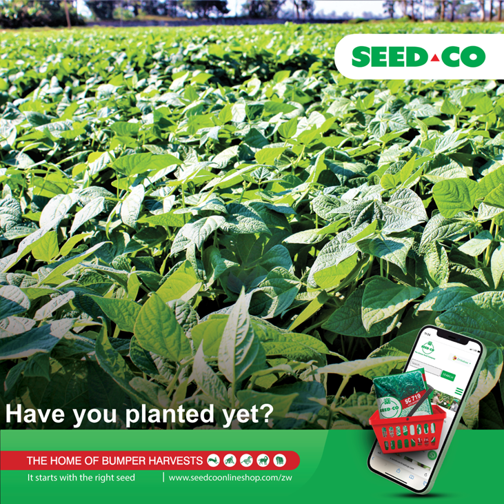 Seed Co Zimbabwe tweet media