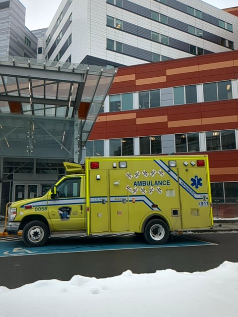 PickleSkull tweet media