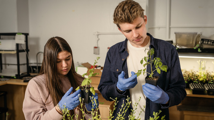 McMasterEng's tweet photo. McMaster Engineering is working with energy industry leaders Suncor to create a new spray that gives plants the power to self-heal.

Read more about how this partnership is finding solutions to some of the most critical issues in agriculture : https://t.co/fz8QcQ4H1J 

@Suncor https://t.co/rbwHjBzuj5