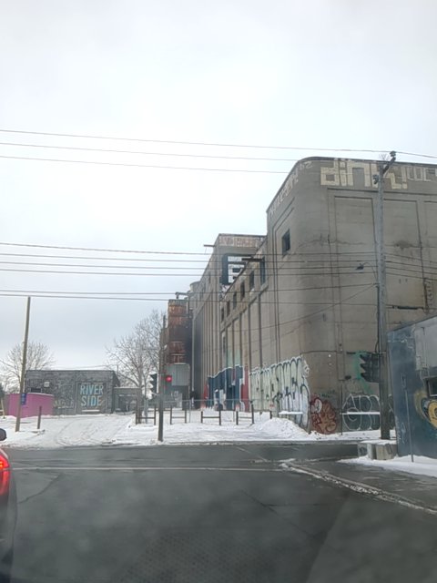 PickleSkull tweet media