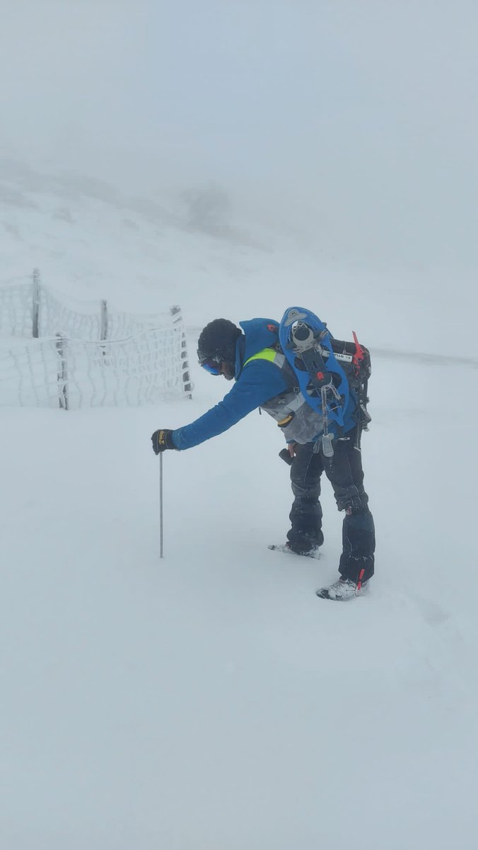 interMET tweet media