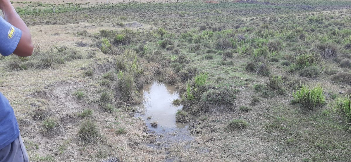 PlanAgro's tweet photo. Acondicionamiento de una vertiente en📍Durazno
Ings. Duarte y Terra con #ProductorAsociado
#Ganadería #agua #sequía #vertiente #campo #ganado @pulgaterra #PlanAgro https://t.co/9HuySpmUrj