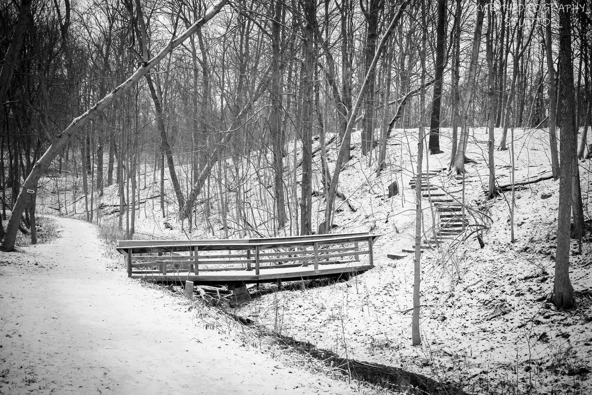 fudarman's tweet photo. #adobelightroom #adobephotoshop #topaz #topazlabs #sonyalphasclub #teamsonyalpha #sonyphotogallery #teamsony #sonya7ii #sonyphotography #sonyalpha #SonyZEISS #sonyphotographer #sonyphoto #blackandwhitephotography #blackandwhitephoto #monochrome #snowdayvibes #snow #snowfall https://t.co/LeS8TREKNK