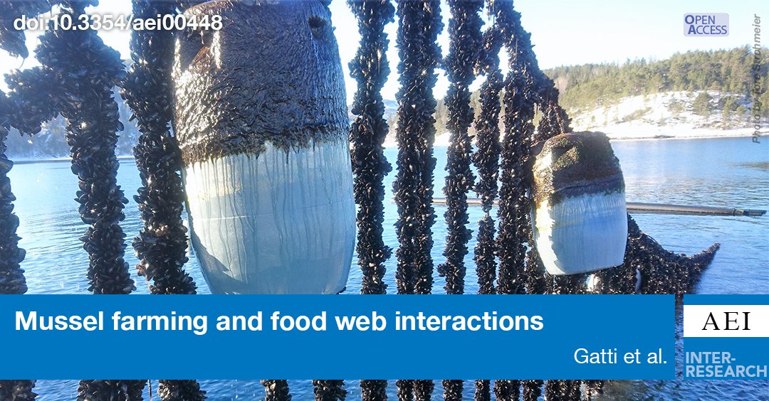 How much mussel farming could fit within a medium-productive fjord? Using an ecosystem model, this study explored the mussel farming capacity of the Hardanger fjord (Norway) and its interaction with the food chain and salmon farming. bit.ly/aei_15_1