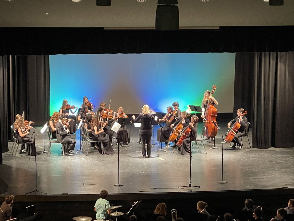 Ligon Orchestras tweet media