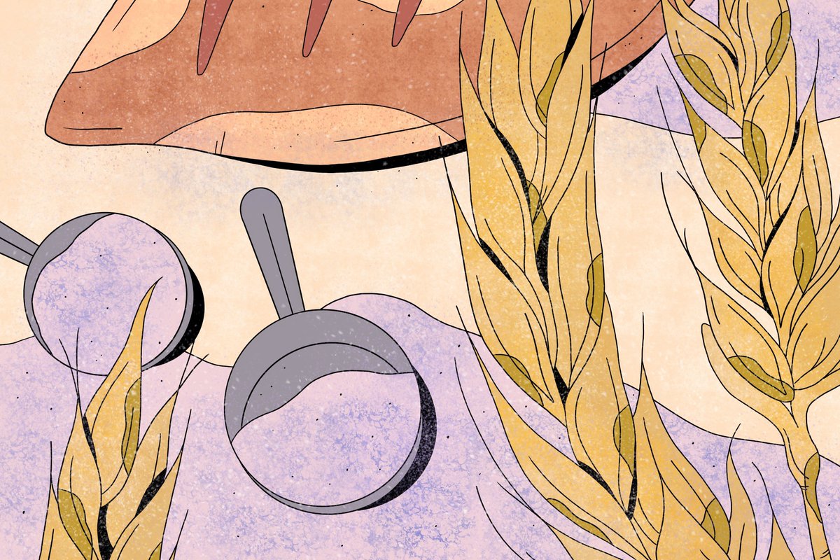 Cairnspring Mills is rebuilding local food systems with regenerative, stone-milled flour. 🍞

Learn about how they blend ancient technology with modern efficiencies, the passionate grain farmers of Skagit Valley, and working to uplift rural communities: 

farmland.fi/learn/local-gr…