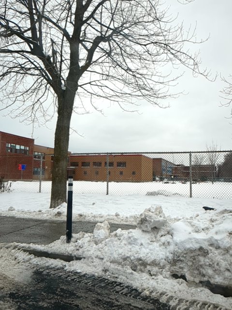 PickleSkull tweet media