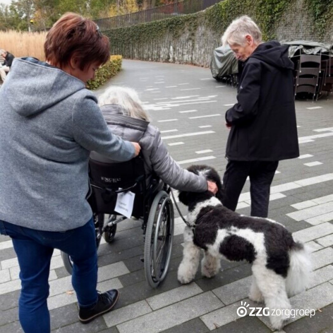 “Komt Fleur vandaag?” Een vrijwilliger komt sinds een aantal weken samen met haar hond Fleur cliënten bezoeken bij ZZG Herstelcentrum. Doordat de vrijwilliger met Fleur langskomt zijn we getuige van mooie momenten met de cliënten. Cliënten die Fleur aaien of een brokje geven.