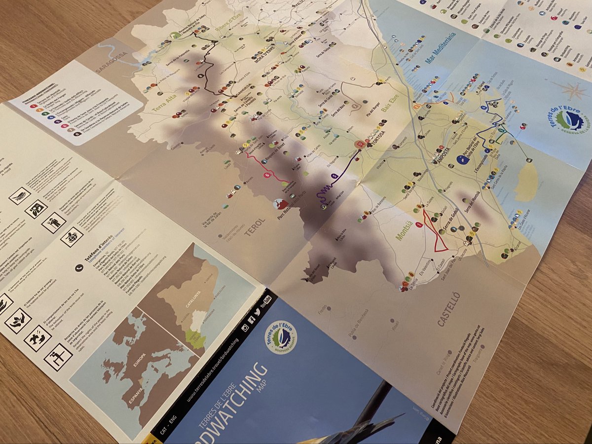 AlexMascarell's tweet photo. Ja s'ha publicat el desplegable de "Birdwatching a les Terres de l'Ebre" del #PatronatdeTurisme de la @Dipta_cat. Un viatge des de #Sebes a #LaGalera, passant pel #Delta i els #Ports en 8 itineraris (i 42 espècies) dissenyats per l'immens @sales_sergi de @FundPlegadis! https://t.co/GCQomINlUf