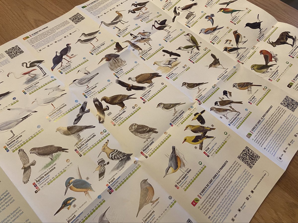 AlexMascarell's tweet photo. Ja s'ha publicat el desplegable de "Birdwatching a les Terres de l'Ebre" del #PatronatdeTurisme de la @Dipta_cat. Un viatge des de #Sebes a #LaGalera, passant pel #Delta i els #Ports en 8 itineraris (i 42 espècies) dissenyats per l'immens @sales_sergi de @FundPlegadis! https://t.co/GCQomINlUf