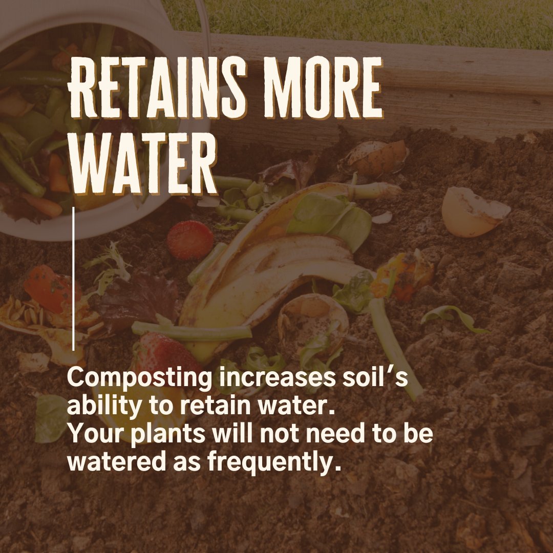 bbearcomposting's tweet photo. From trash to treasure! It's not waste until it is wasted! Grow food, not landfills!
#blackbearcomposting #composting #compost #zerowaste #foodwaste #sustainability #sustainableliving #recycle #ecofriendly #compostbin #organicwaste #organicgardening #zerowasteliving https://t.co/MNTds7VRL0