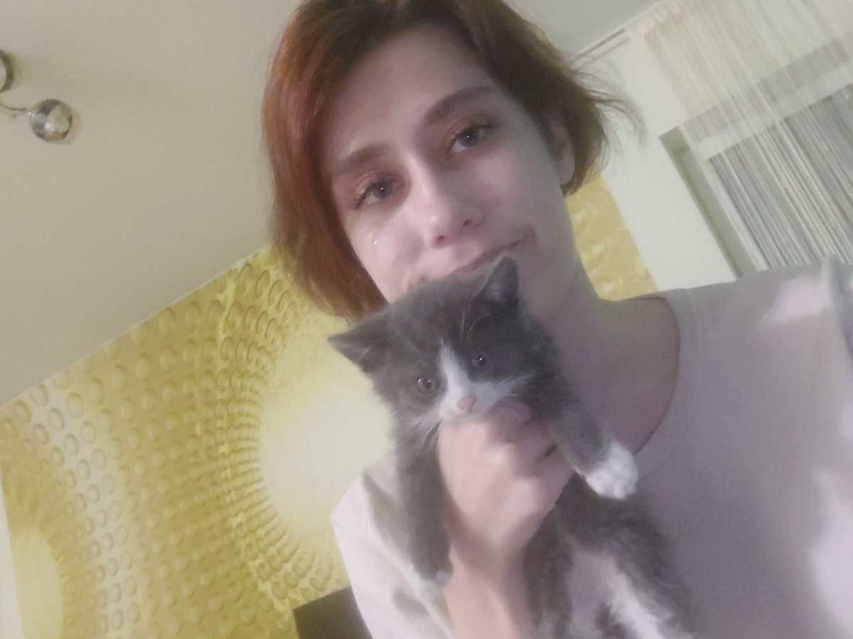 fernshmidt's tweet photo. @rom_baba Думаю у месячных пиздюков особо не было выбора... https://t.co/i1Dh8u9F6T