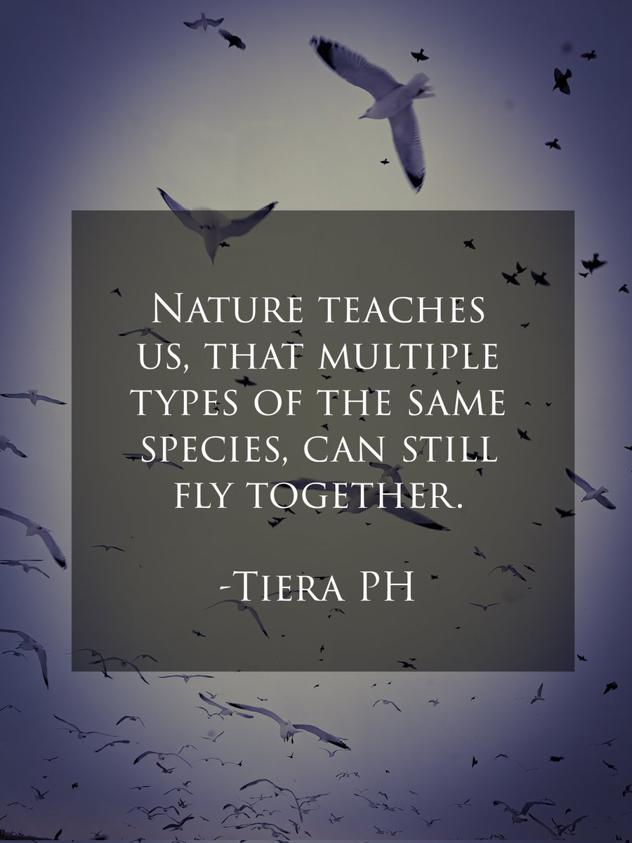 EyeseeC's tweet photo. One of the most beautiful things about nature and the human race,  is that even though we come in different colors and variations, we can still just BE....beautifully together. Once we appreciate our differences, it's easy to see how we have so much in common. 💖💖💖✨️✨️✨️ https://t.co/Q2M8gDBV1R